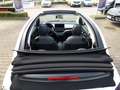 Fiat 500 500e Cabrio 42 kWh (118 PS) Weiß - thumbnail 7