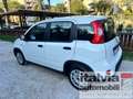 Fiat Panda 1.0  Hybrid  SEDILE REG. PDC 5 POSTI BLUETOOTH Bianco - thumbnail 4