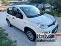 Fiat Panda 1.0  Hybrid  SEDILE REG. PDC 5 POSTI BLUETOOTH Bianco - thumbnail 3