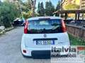 Fiat Panda 1.0  Hybrid  SEDILE REG. PDC 5 POSTI BLUETOOTH Bianco - thumbnail 5