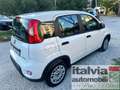 Fiat Panda 1.0  Hybrid  SEDILE REG. PDC 5 POSTI BLUETOOTH Bianco - thumbnail 6