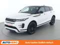 Land Rover Range Rover Evoque D165 Mild-Hybrid S R-Dynamic Weiß - thumbnail 1