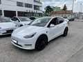 Tesla Model Y Model Y AWD 79kWh Performance Performance Weiß - thumbnail 3