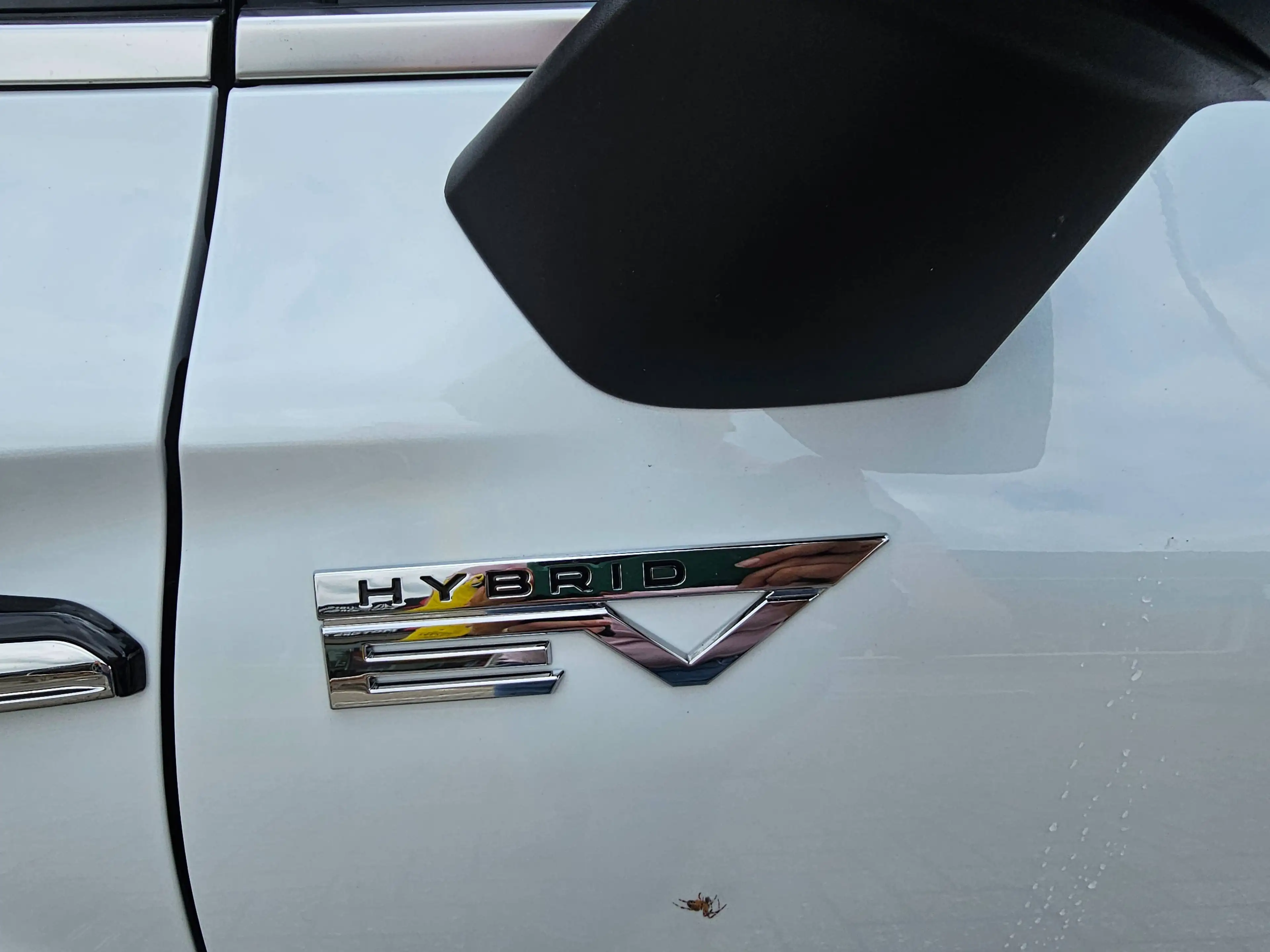 Mitsubishi Grandis Intro Edition — photo 11