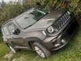 Jeep Renegade Renegade 2.0 MultiJet Active Drive Longitude Grau - thumbnail 4