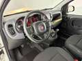 Fiat Panda Cross 1.0 FireFly Hybrid Blanc - thumbnail 9