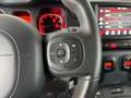 Fiat Panda Cross 1.0 FireFly Hybrid Blanc - thumbnail 12