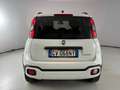 Fiat Panda Cross 1.0 FireFly Hybrid Blanc - thumbnail 5