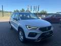 SEAT Ateca 2020 2.0 tdi Business 115cv Bianco - thumbnail 14