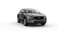 Mazda CX-30 5WGN 2.5L e-SKYACTIV G 140 6MT FWD Centre-line DES Blau - thumbnail 1