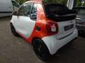 smart forTwo Cabrio Turbo Sport ,Leder,Navi, LED, Matt Blanc - thumbnail 8