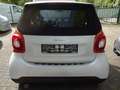 smart forTwo Cabrio Turbo Sport ,Leder,Navi, LED, Matt Blanc - thumbnail 6