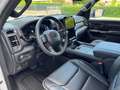 Dodge RAM 1500 LIMITED 5.7L V8  Pronta Consegna Bianco - thumbnail 8