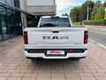 Dodge RAM 1500 LIMITED 5.7L V8  Pronta Consegna Bianco - thumbnail 6