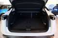 Nissan Ariya 87kWh Evolve Aut. Netto: 39.990.- ohne Mwst. Weiß - thumbnail 19