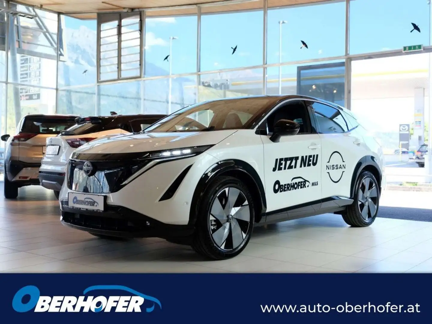 Nissan Ariya 87kWh Evolve Aut. Netto: 39.990.- ohne Mwst. Weiß - 1