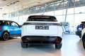 Nissan Ariya 87kWh Evolve Aut. Netto: 39.990.- ohne Mwst. Weiß - thumbnail 5