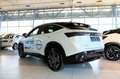 Nissan Ariya 87kWh Evolve Aut. Netto: 39.990.- ohne Mwst. Weiß - thumbnail 7