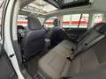 Volkswagen Tiguan 2.0TDI BMT Cross 4x2 110 Blanco - thumbnail 12
