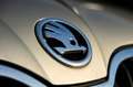 Skoda Rapid/Spaceback 1.0 TSI Greentech Clever I Panorama I stoelverw I Grau - thumbnail 14