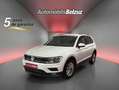 Volkswagen Tiguan 2.0TDI Edition 85kW Blanco - thumbnail 1
