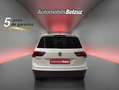 Volkswagen Tiguan 2.0TDI Edition 85kW Blanco - thumbnail 5