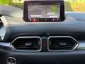 Mazda CX-5 Edition 100~Aut.~360 Kam.~19~LED~22 km Rot - thumbnail 23