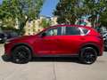 Mazda CX-5 Edition 100~Aut.~360 Kam.~19~LED~22 km Rot - thumbnail 2
