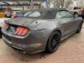 Ford Mustang Convertible 5.0 V8 Aut.''GT''ACC,LED,Kamera Gri - thumbnail 5
