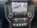Ford Mustang Convertible 5.0 V8 Aut.''GT''ACC,LED,Kamera Grau - thumbnail 12