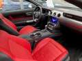 Ford Mustang Convertible 5.0 V8 Aut.''GT''ACC,LED,Kamera Gri - thumbnail 11