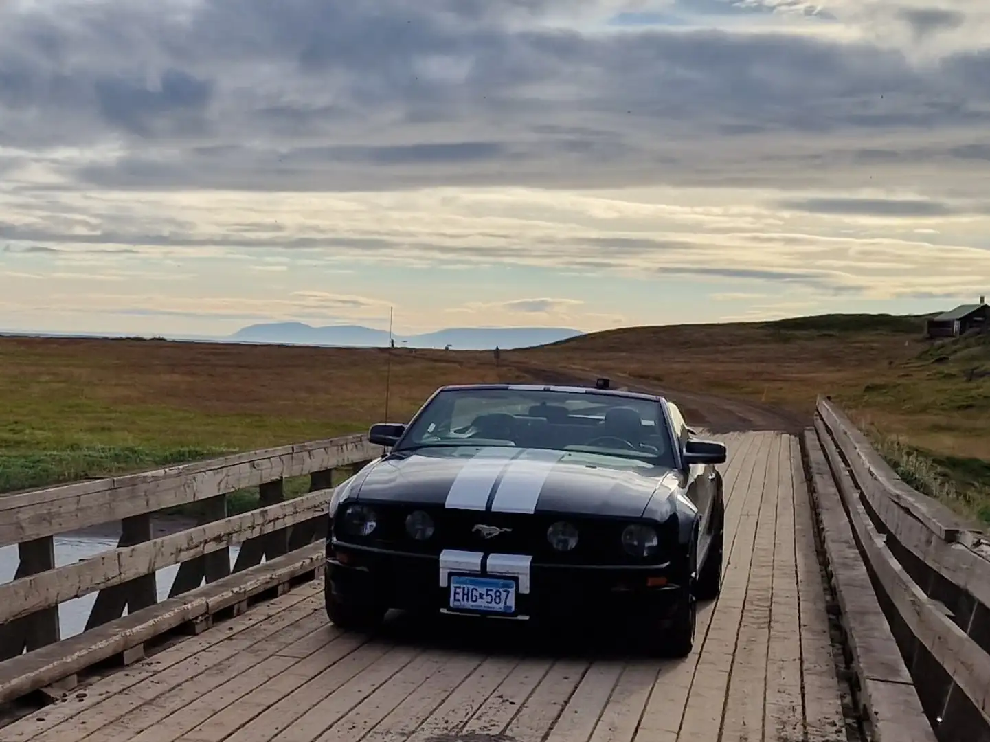 Ford Mustang GT 4.6 V8 Zwart - 1