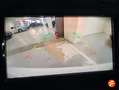 Nissan Qashqai dCi 85 kW (115 CV) E6D ACENTA Blanco - thumbnail 14