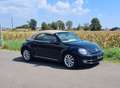 Volkswagen Beetle Cabrio 1,2 TSI BMT Design Schwarz - thumbnail 3