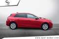 Opel Astra Business Edition Rot - thumbnail 6