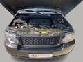 Land Rover Range Rover 4.4 TDV8 Westminster Standheizung Schwarz - thumbnail 32