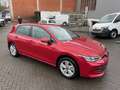 Volkswagen Golf VIII 1.5TSi Alu Tempomat AppConnect LED Sitzhei... Rot - thumbnail 4