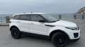 Land Rover Range Rover Evoque 2.0 eD4 5p. SE Wit - thumbnail 7