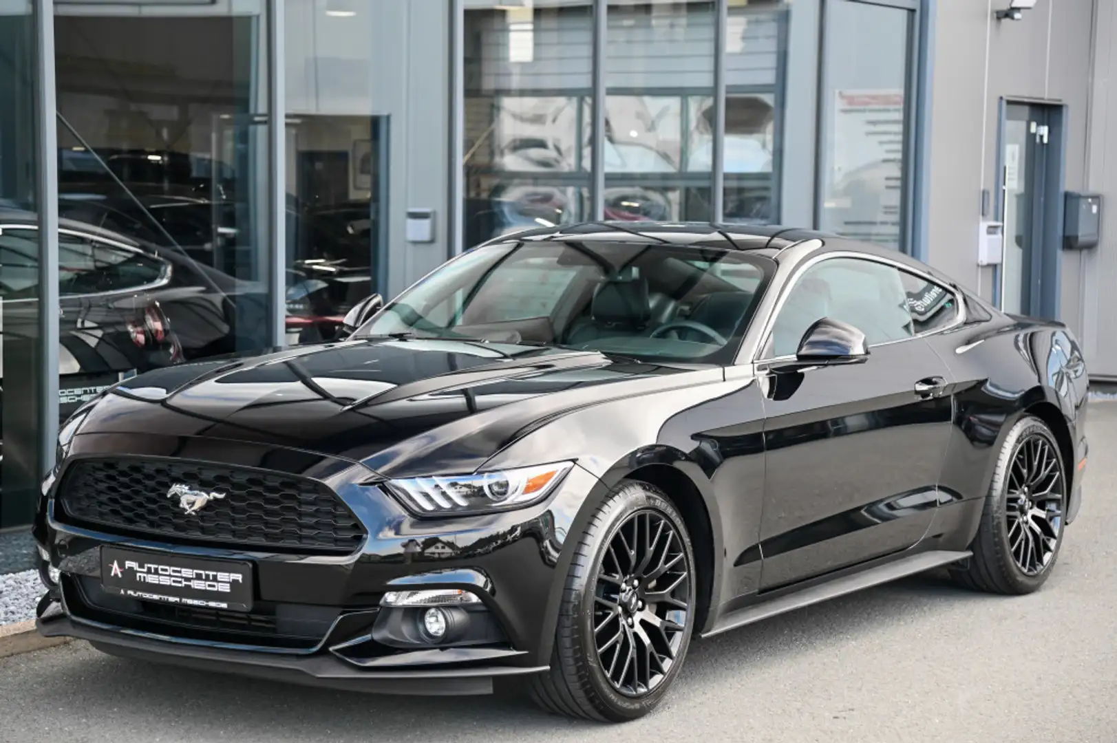 Ford Mustang Coupe 2.3 EcoBoost Navi* Premium* 1.Hand Schwarz - 2