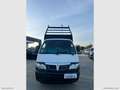 Piaggio Porter PORTER 1.2 MAXXI CASSONE RIBALTABILE DIESEL Weiß - thumbnail 2