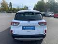 Ford Kuga 1,5 EcoBoost Cool & Connect Weiß - thumbnail 5