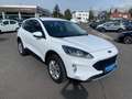 Ford Kuga 1,5 EcoBoost Cool & Connect Wit - thumbnail 3
