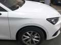 SEAT Leon 1.0 TSI S&S Style XS 110 Blanco - thumbnail 12