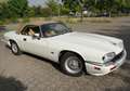 Jaguar XJS 2.Hd. wenig gelaufen H-Kennzeichen Blanc - thumbnail 2