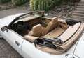 Jaguar XJS 2.Hd. wenig gelaufen H-Kennzeichen Wit - thumbnail 18