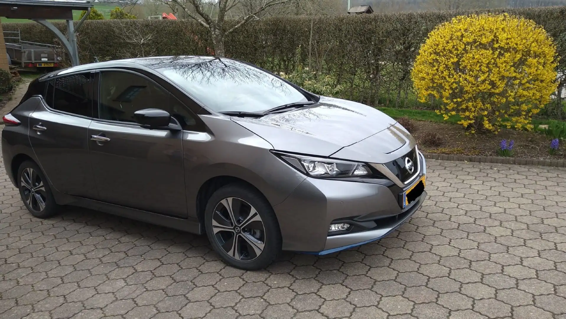 Nissan Leaf Leaf10 62 kWh Gris - 2