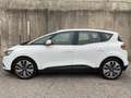 Renault Scenic Scénic TCe 115 CV Energy Sport Edition OCASSIONE Blanc - thumbnail 4