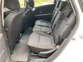 Renault Scenic Scénic TCe 115 CV Energy Sport Edition OCASSIONE Bianco - thumbnail 10