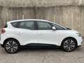 Renault Scenic Scénic TCe 115 CV Energy Sport Edition OCASSIONE Blanc - thumbnail 5