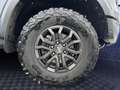 Ford Ranger Raptor 2,0 l EcoBlue Doka Autm. *Standheizung* Gris - thumbnail 15